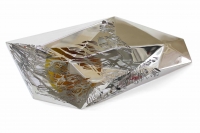 http://www.tmelissa.com/files/gimgs/th-68_Melissa Tan - Isis, 2019, Mirror finish stainless steel, epoxy resin, pigment, muscovite mica, 30 x 65_5 x 9 cm LOWRES.jpg